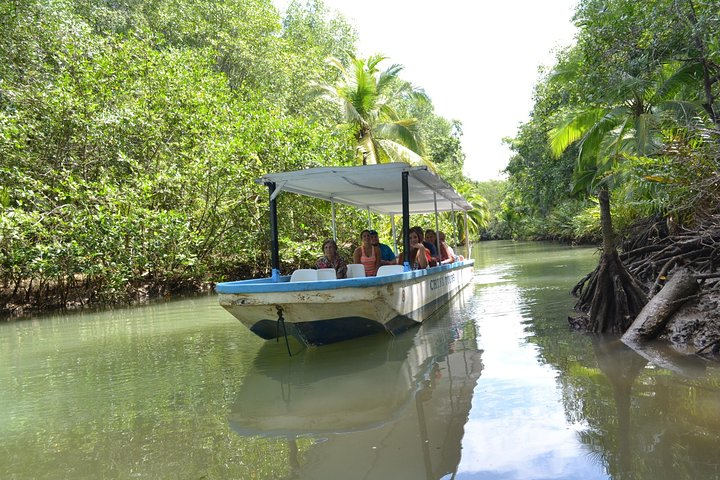 Costa Rica Mangrove Monkey Tour - Photo 1 of 4